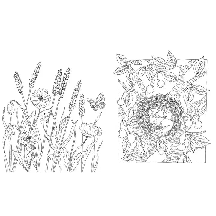 Flora Fairytale Coloring Book