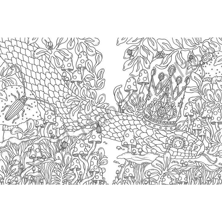 Forest Kingdom Coloring Book