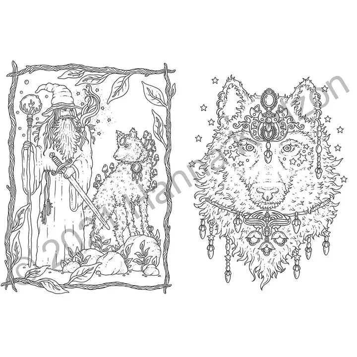 Forest Kingdom Coloring Book