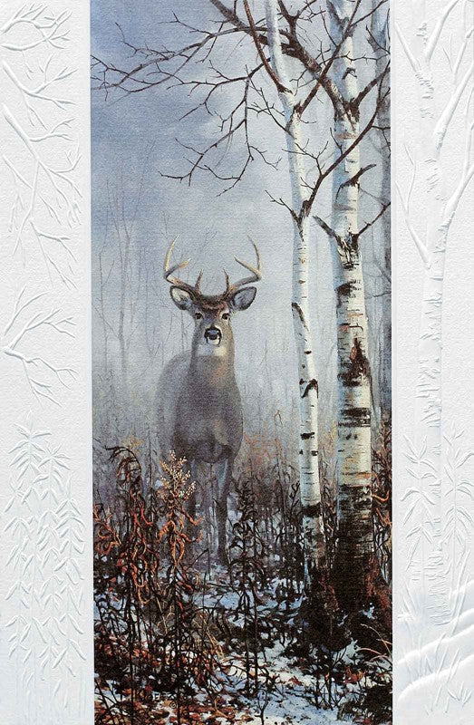 Buck In Birch Trees Birthday Card