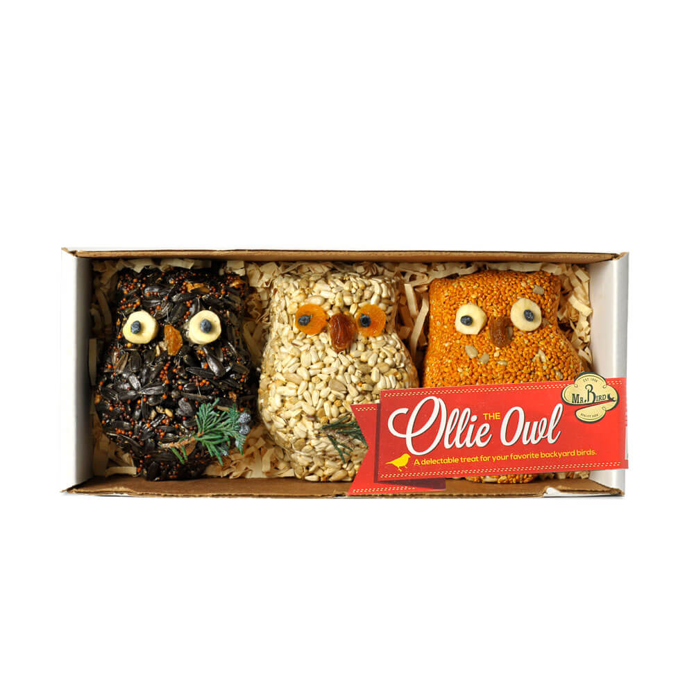 Ollie The Owl Birds Seed Treat Set