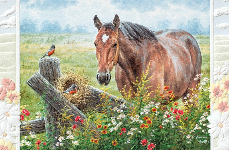 Horse Field Get Better Greeting Card