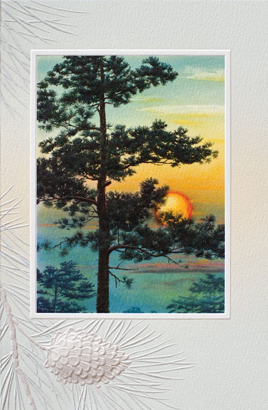 Pine Tree Sunset Birthday Card