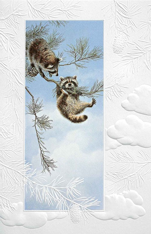 Raccoon Birthday Card