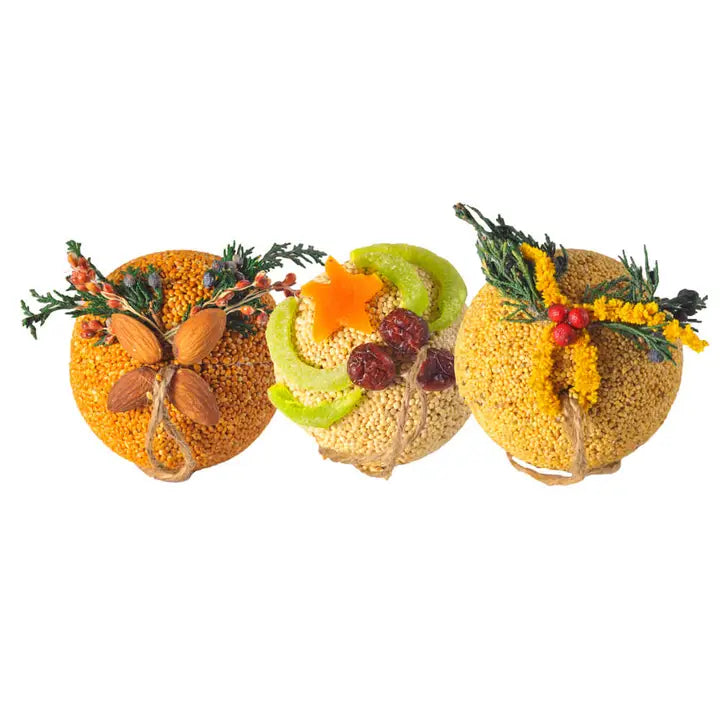 Fruit Bird Seed Balls