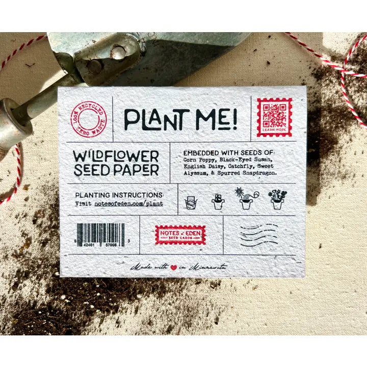 Birds Seed Card