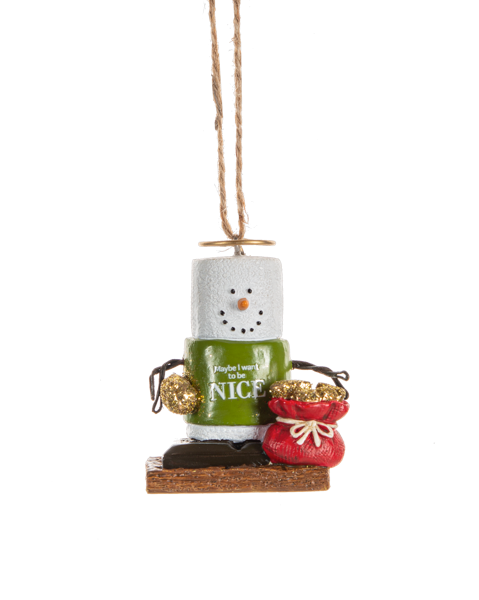 S'mores Nice Ornament 2023