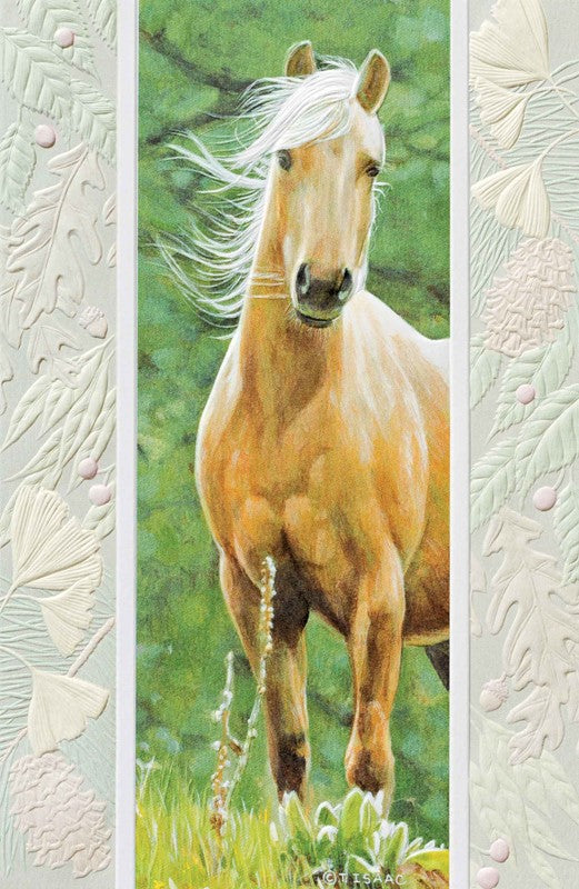 Windswept Horse Birthday Card