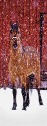 David Jensen Snow Storm Mustang Framed