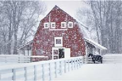 David Jensen Wintering Barn and Horse FRAMED