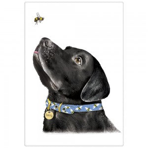 black lab dog with blue collar looking up at a bee