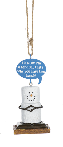 S'mores Humor Toasted Ornaments 2022